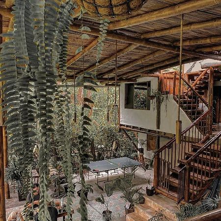 Cinnamon House Миндо Экстерьер фото