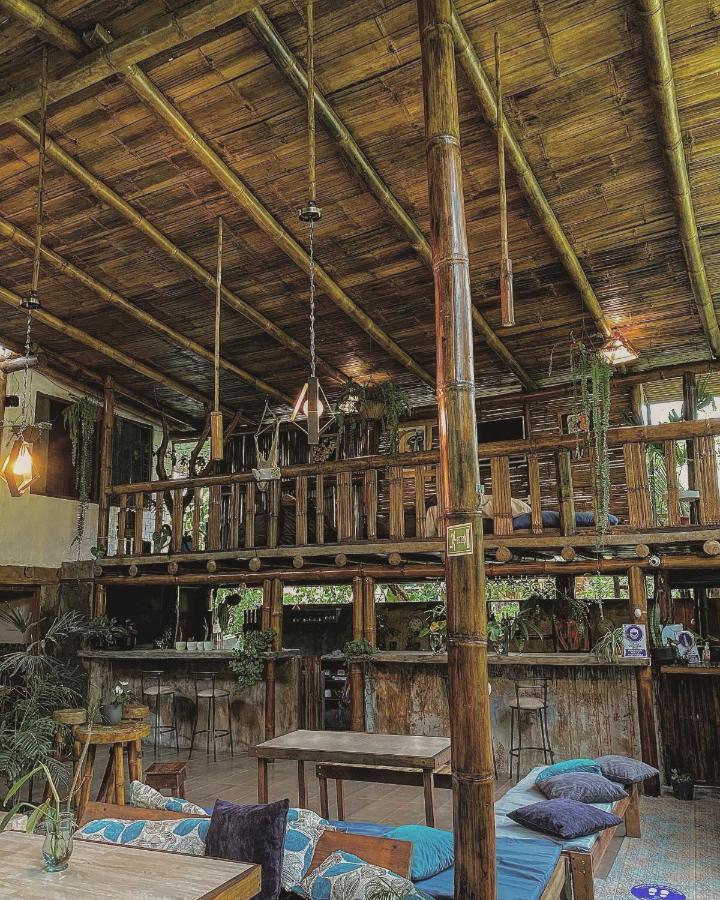 Cinnamon House Миндо Экстерьер фото
